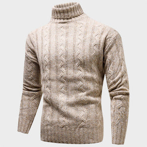 Theodore Willow Seattle Turtleneck Sweater